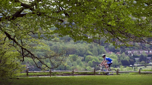 A road cyclist riding along the road at the top of Box Hill in summer